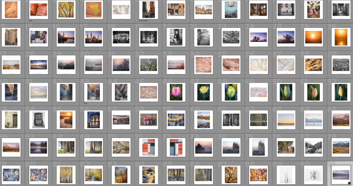 2025 Favorite Photographs — First Cut