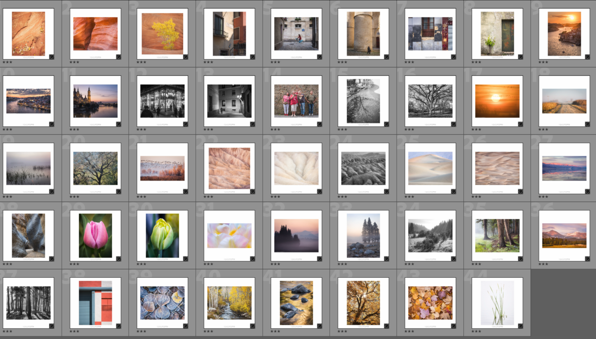 2025 Favorite Photographs — Second Cut