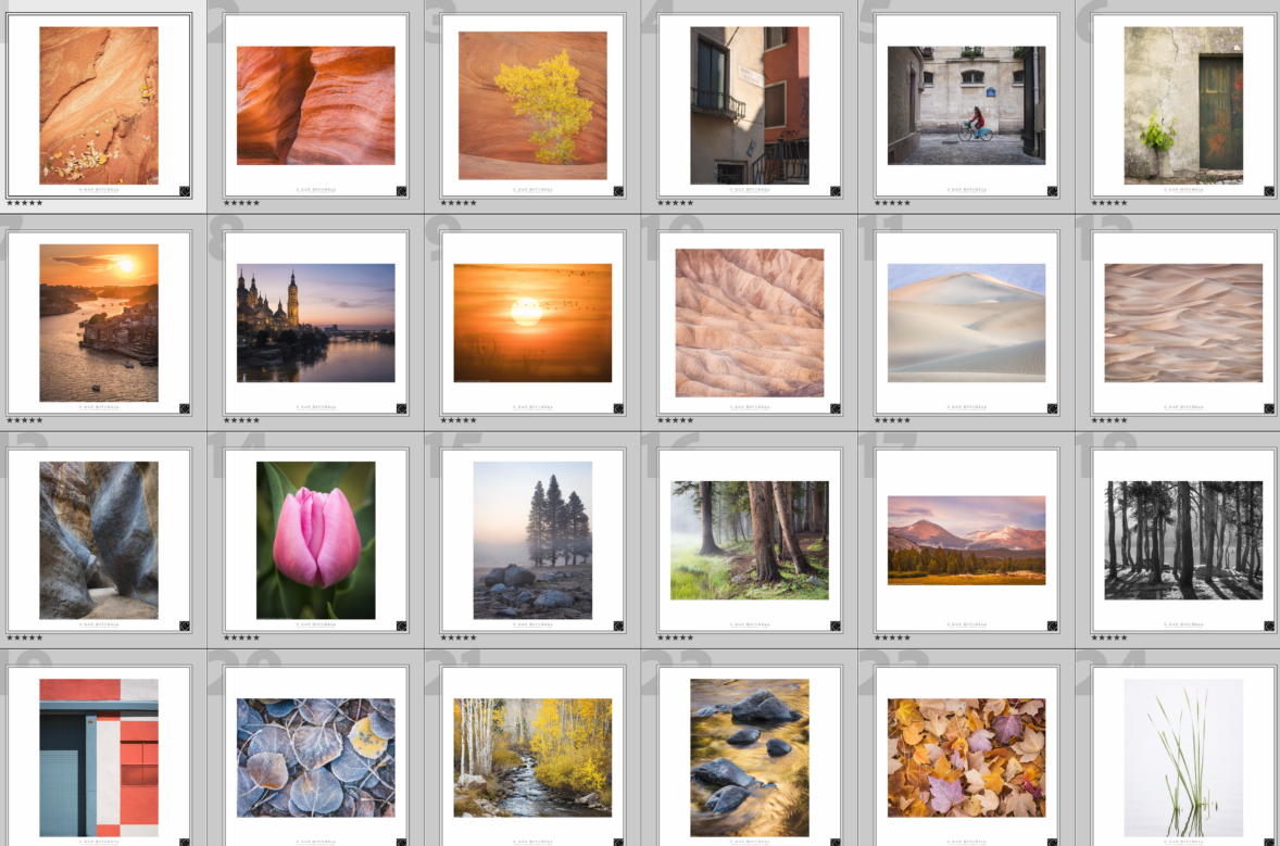 2025 Favorite Photographs — Third Cut