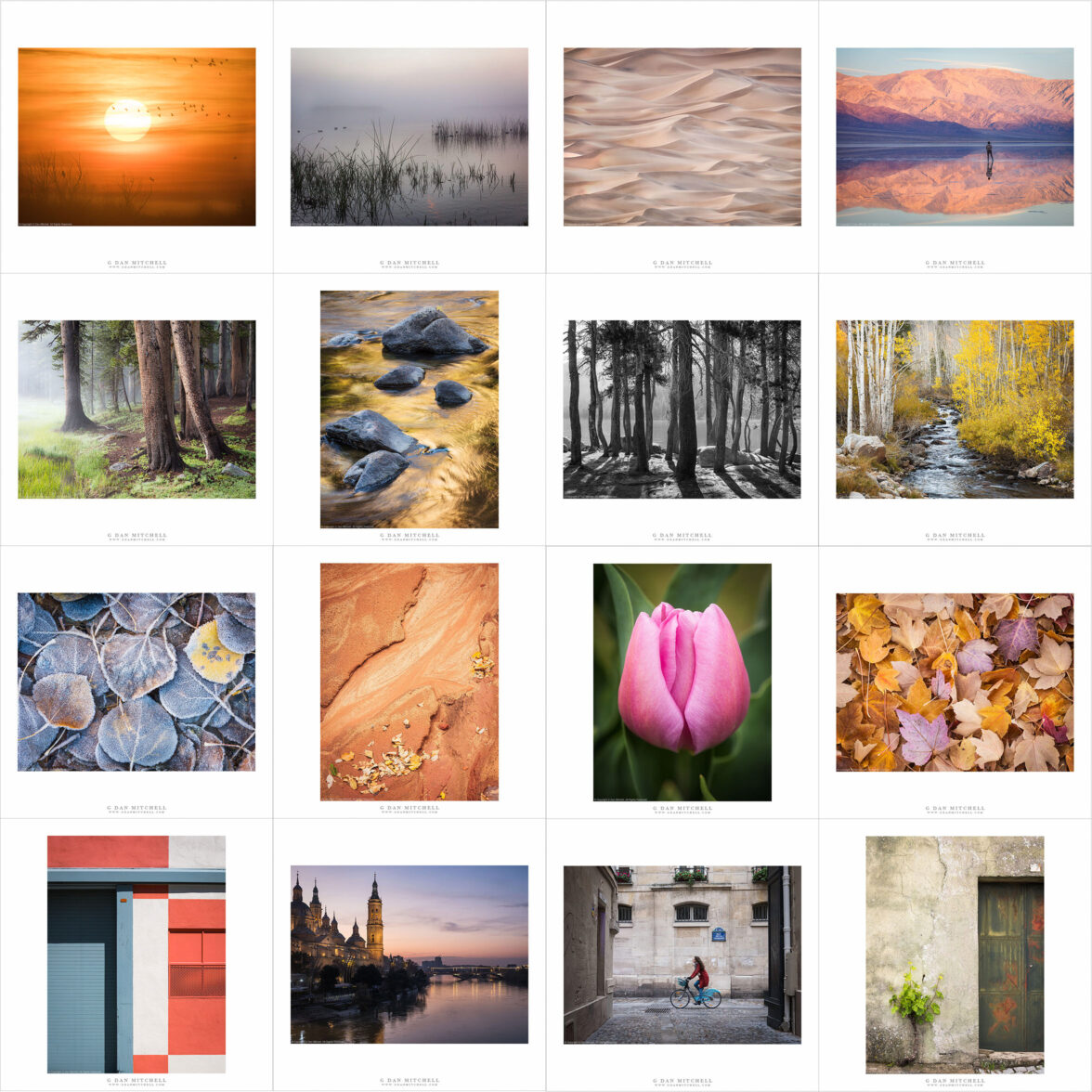 2025 Favorite Photographs