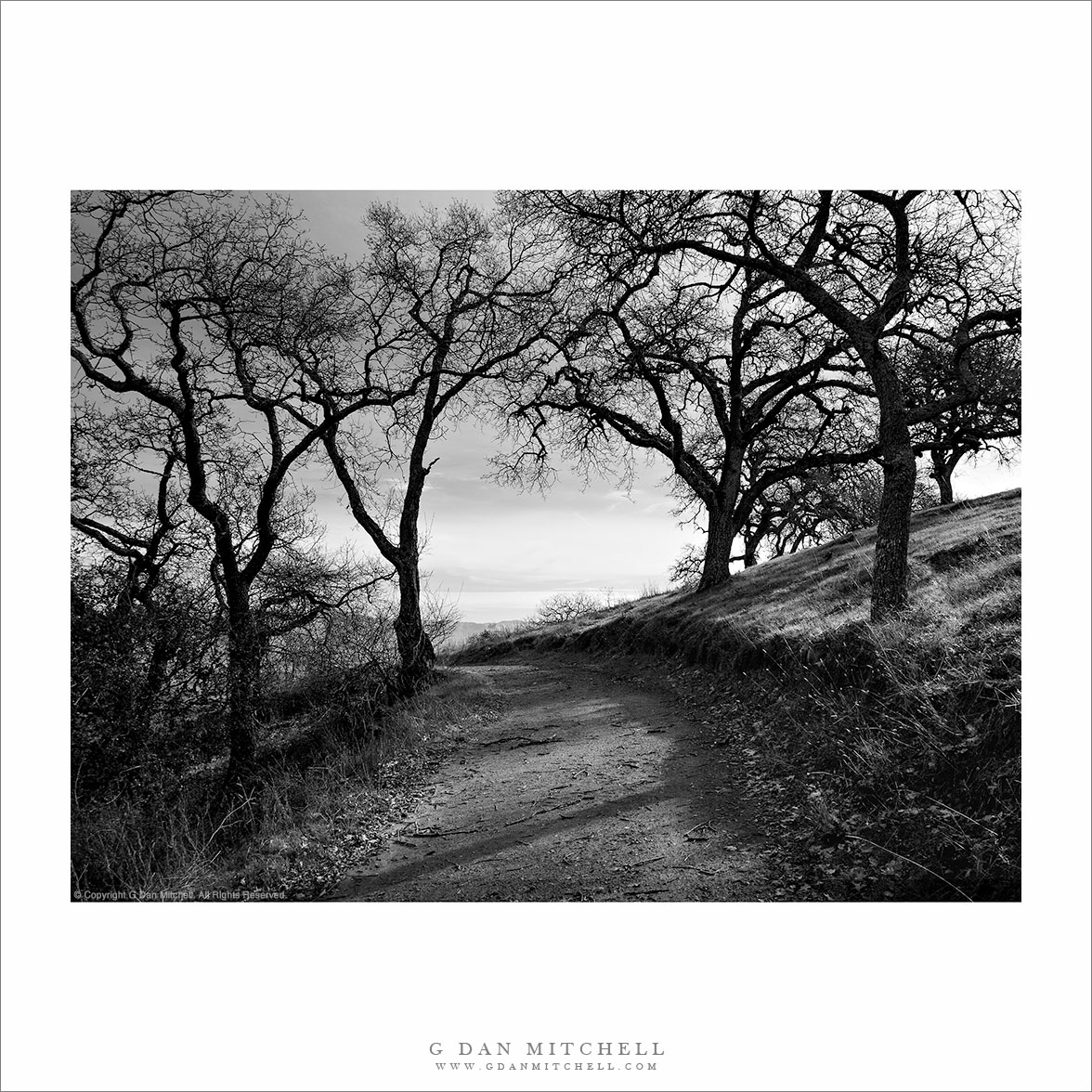 Fire Trail, Calero Hills