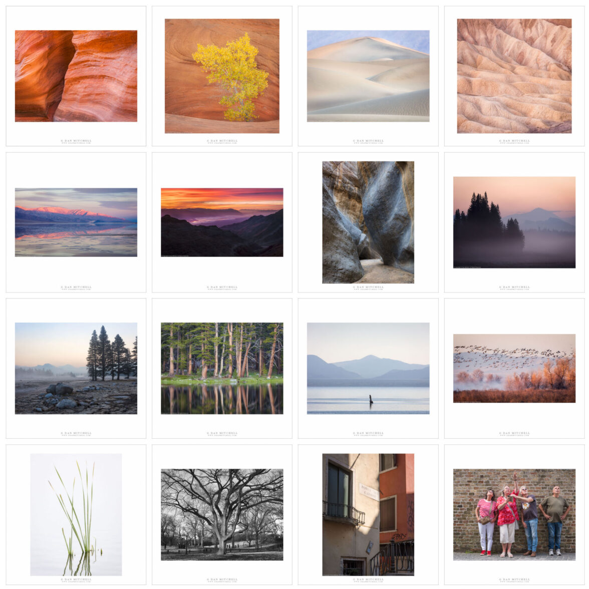 G Dan Mitchell's 2025 (Almost) Favorite Photographs