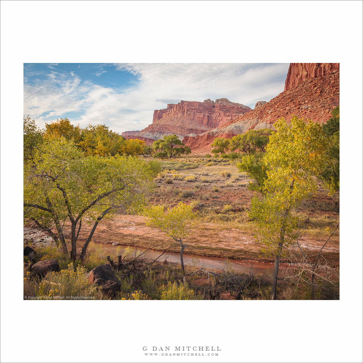 Red Rock Mountains, Autumn Foliage