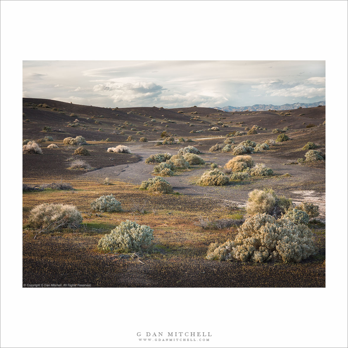 Dark Terrain, Evening Light