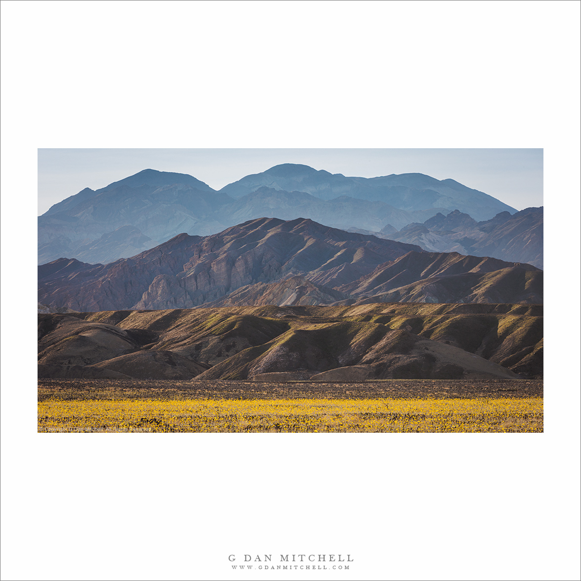 Desert Gold, Black Mountains