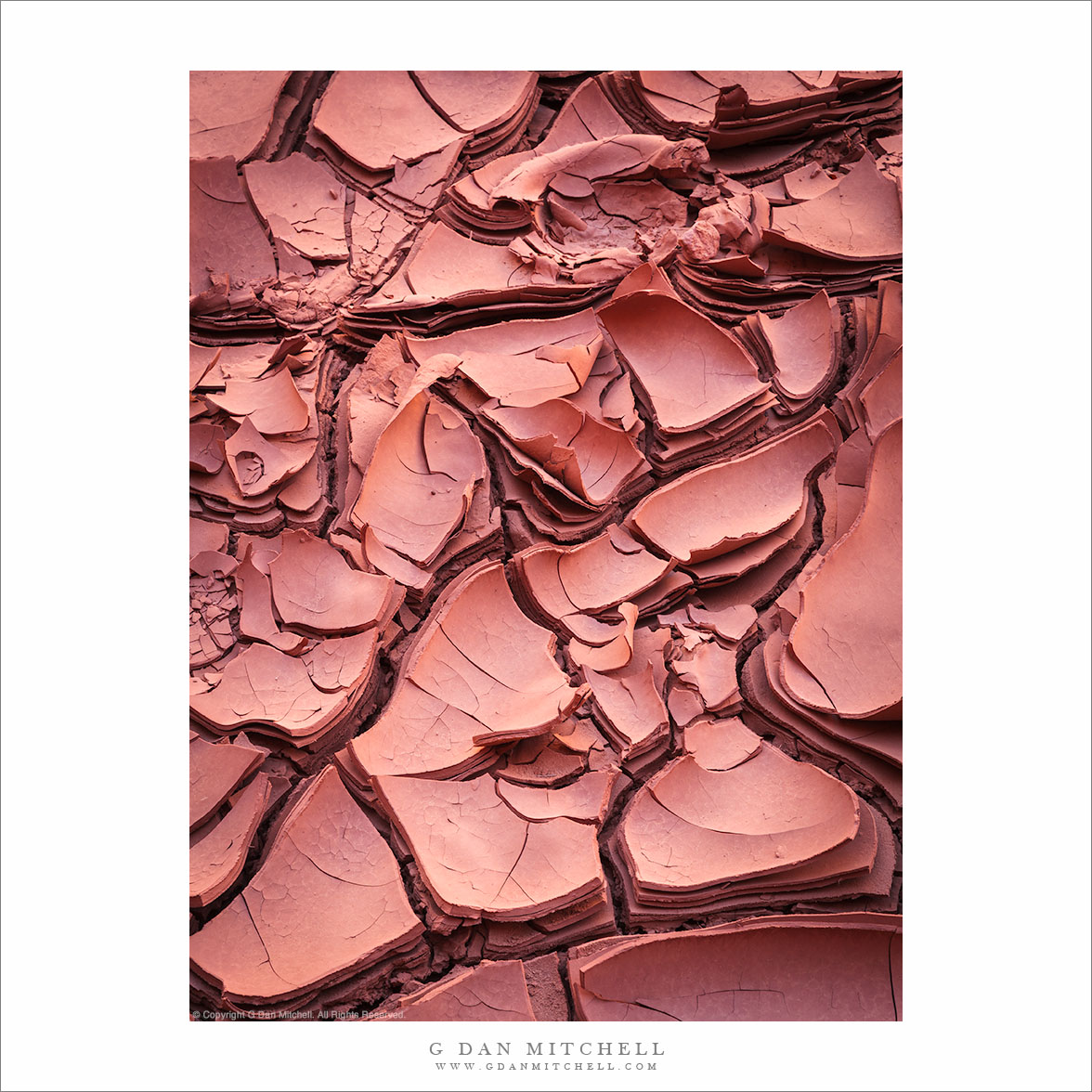 Mud Patterns