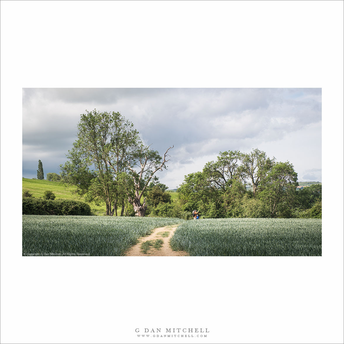 A Cotswolds Trail