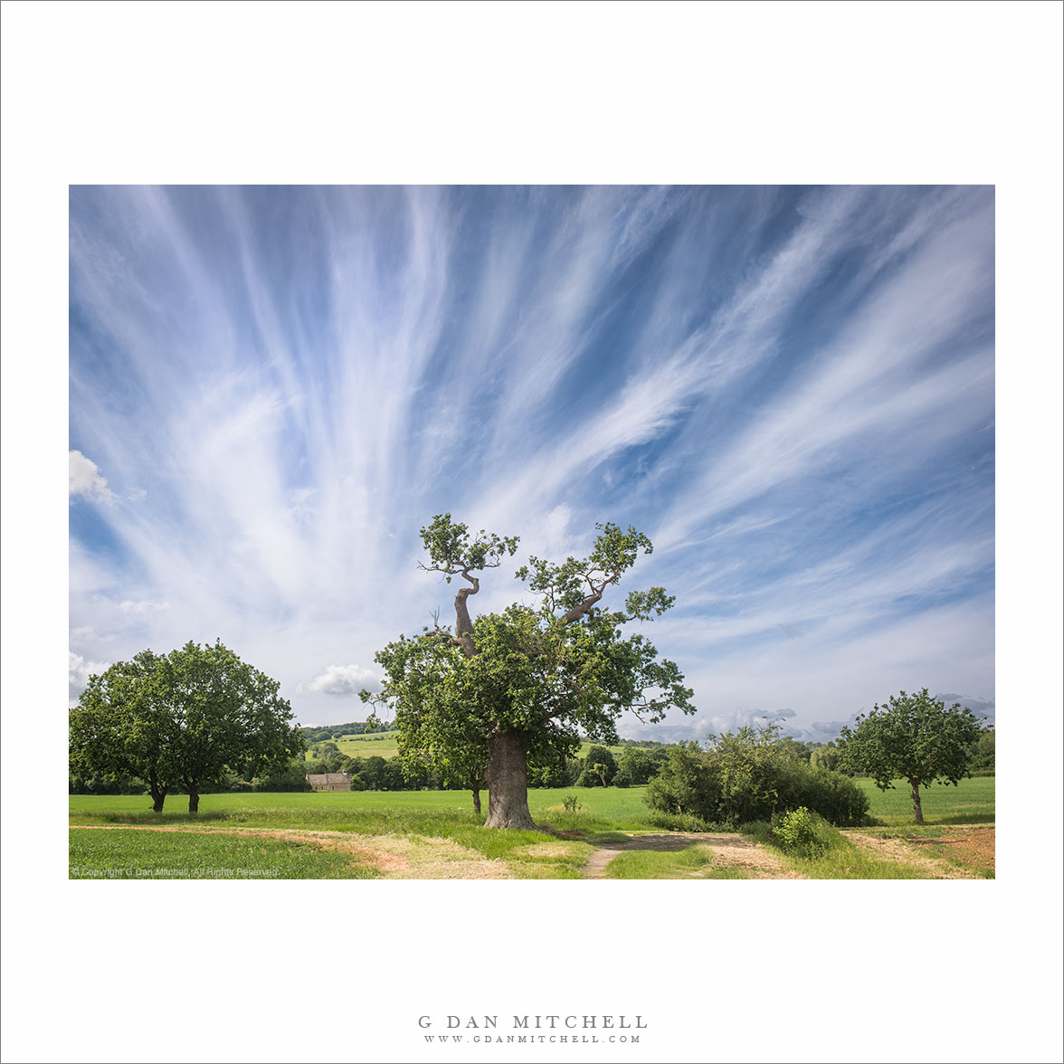 Cotswolds Sky