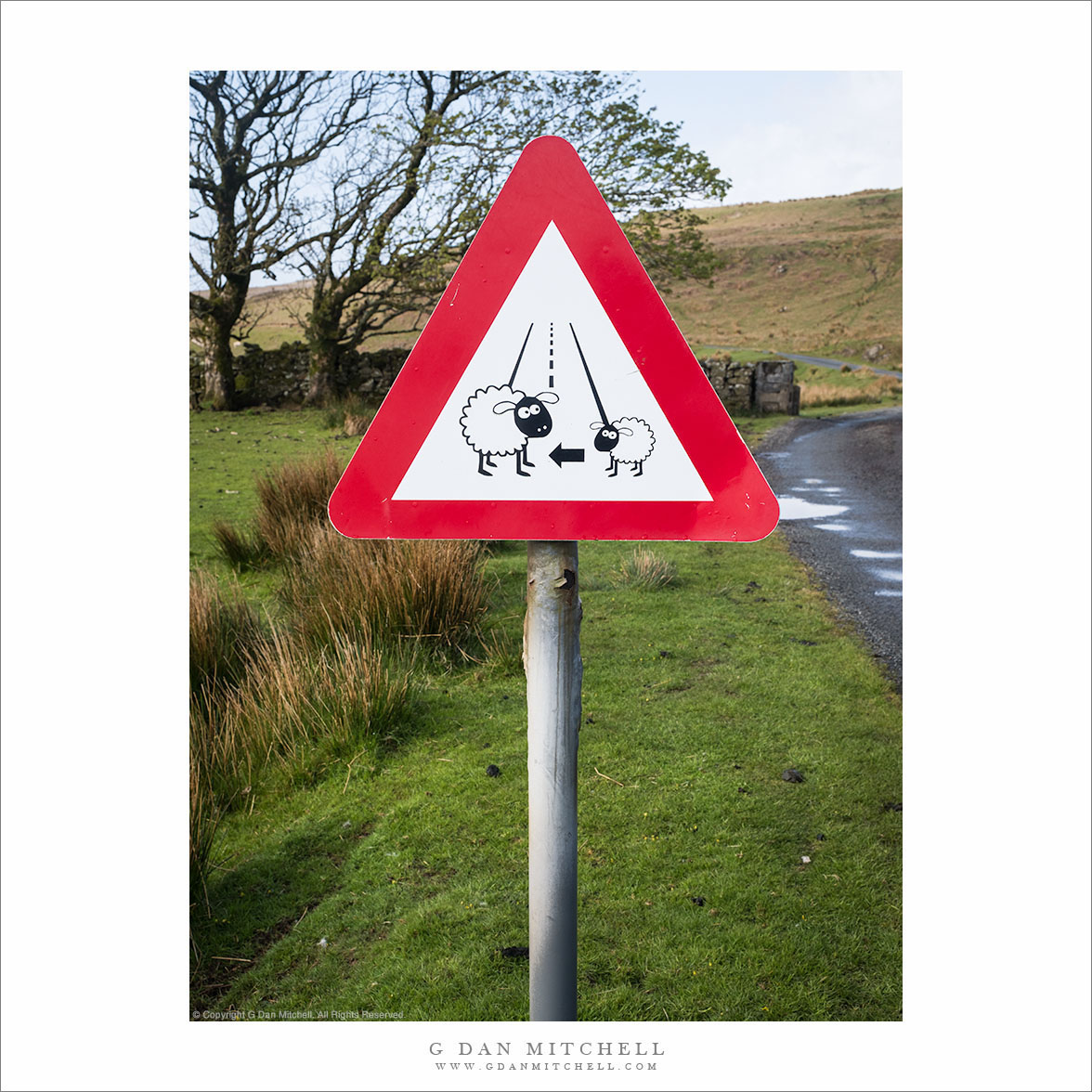 So That Sheep May Safely Graze