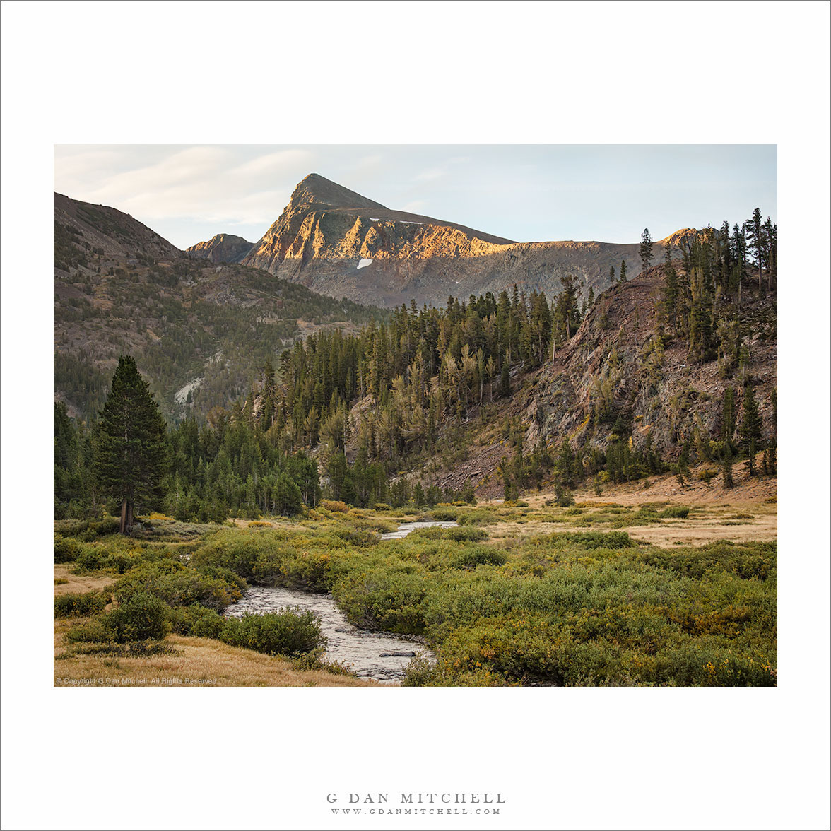 Sierra Meadow and Peak