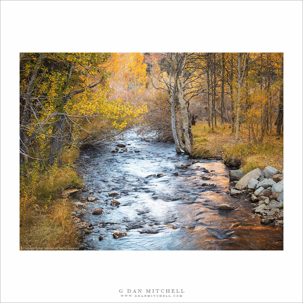 Sierra Creek, Autumn Colors