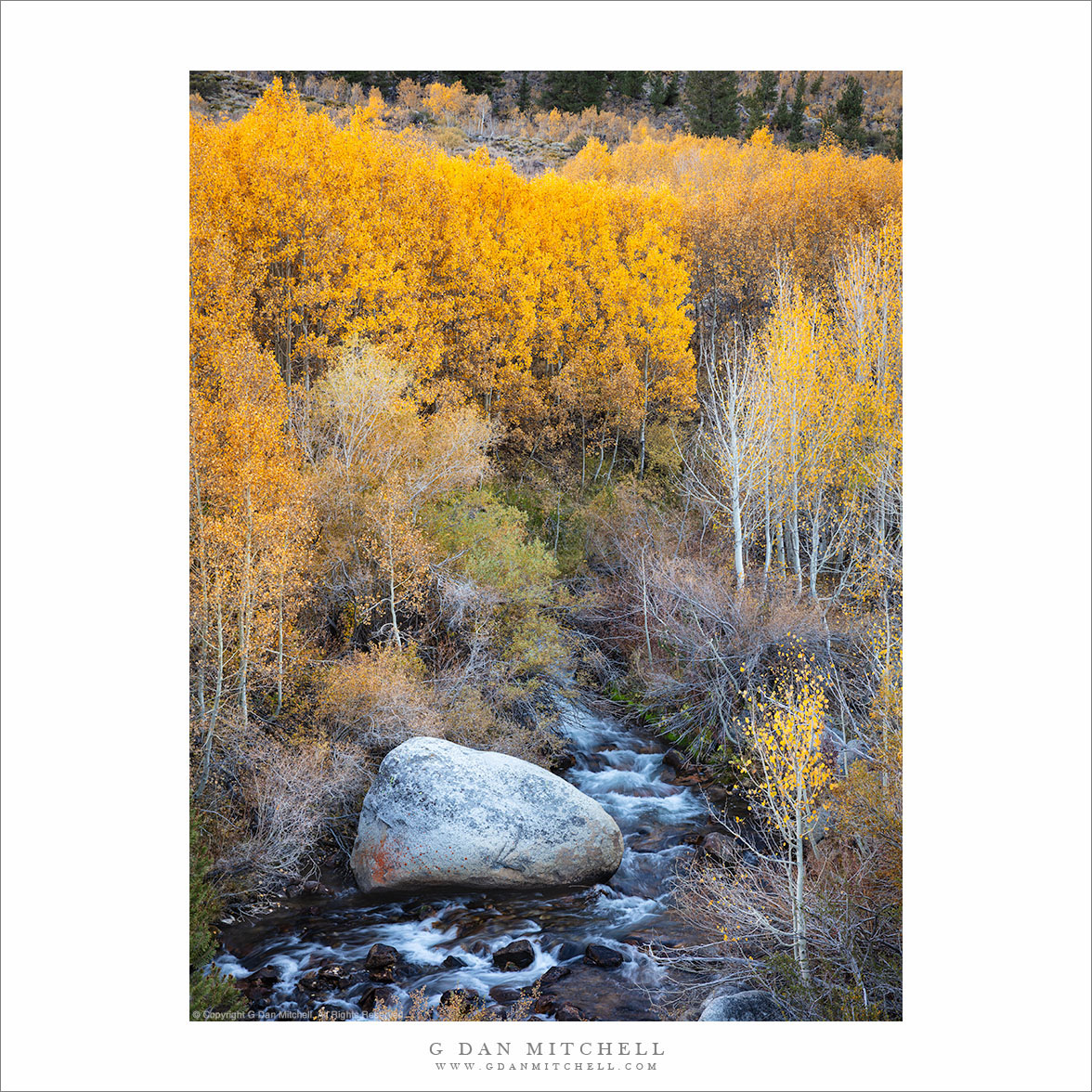 Boulder, Stream, Autumn Trees